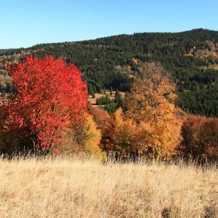 Sumava-bayerischer Wald アパート フィリップシュロイト