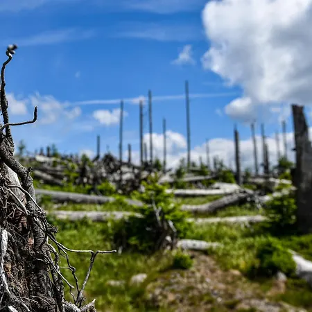 Sumava-bayerischer Wald アパート