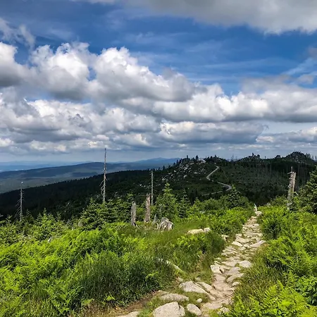 Sumava-bayerischer Wald Apartament Philippsreut